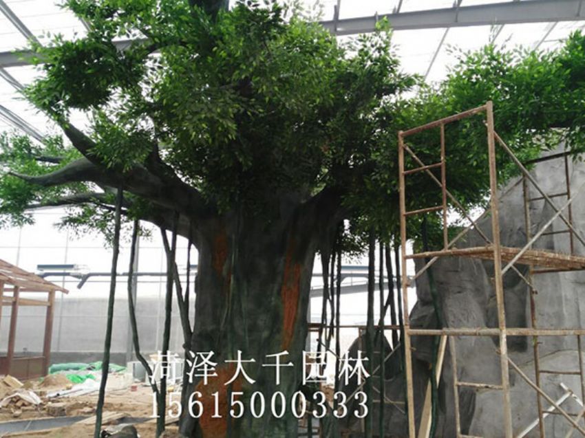 點(diǎn)擊查看詳細(xì)信息<br>標(biāo)題：假樹 閱讀次數(shù)：1210