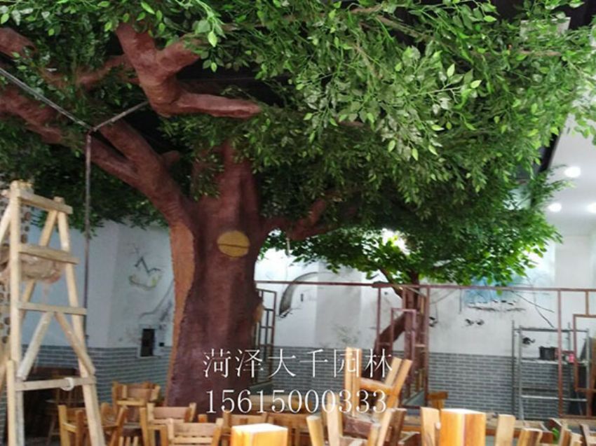 點(diǎn)擊查看詳細(xì)信息<br>標(biāo)題：假樹 閱讀次數(shù)：1275