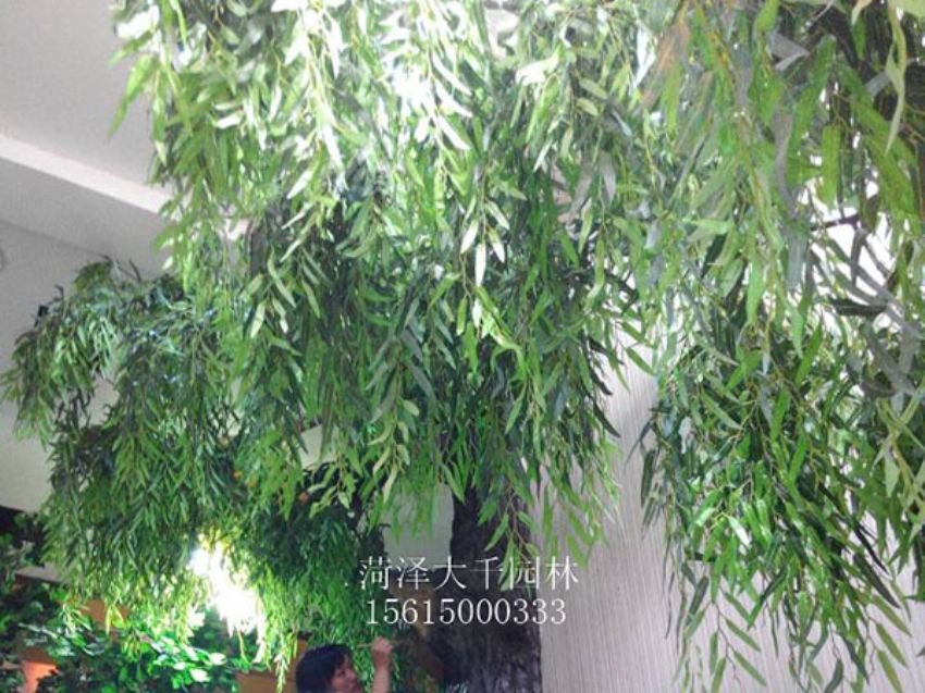 點擊查看詳細(xì)信息<br>標(biāo)題：假樹 閱讀次數(shù)：1265