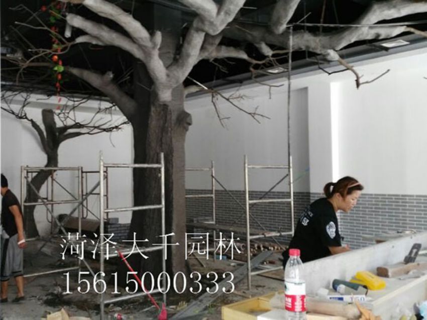 點(diǎn)擊查看詳細(xì)信息<br>標(biāo)題：假樹 閱讀次數(shù)：1266