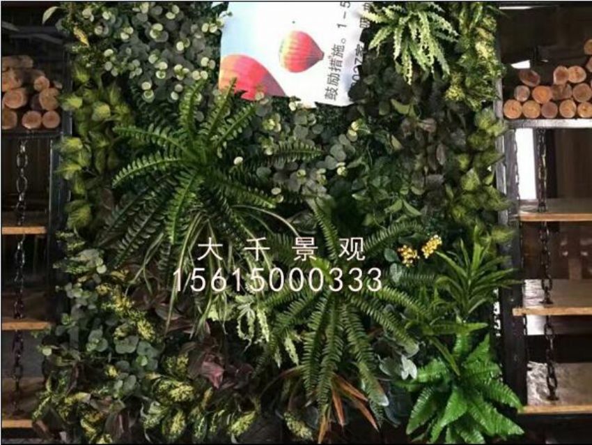 點擊查看詳細信息<br>標題：綠植墻 閱讀次數(shù)：1263