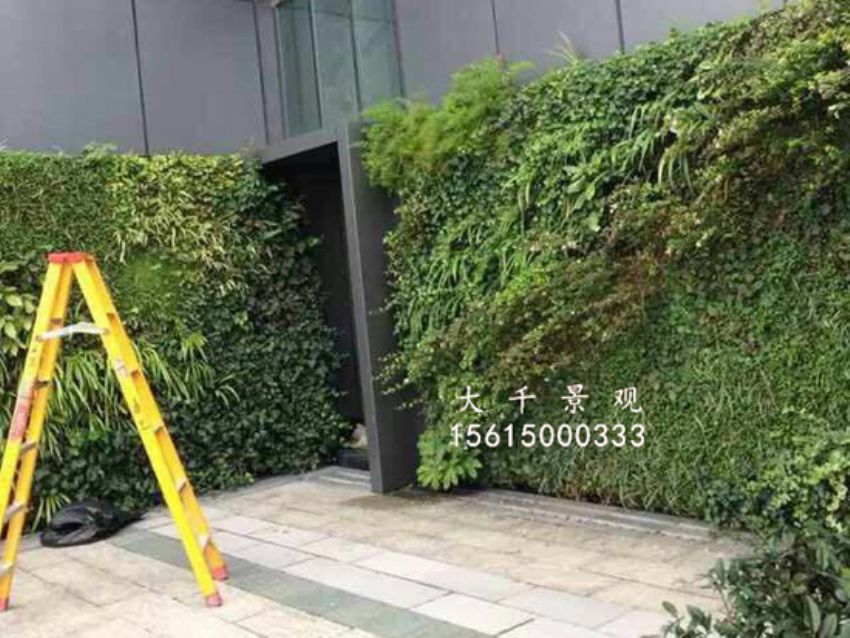 點(diǎn)擊查看詳細(xì)信息<br>標(biāo)題：綠植墻 閱讀次數(shù)：1320