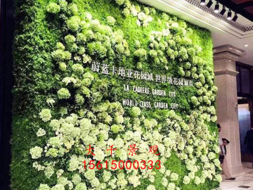 點擊查看詳細(xì)信息<br>標(biāo)題：綠植墻 閱讀次數(shù)：1777